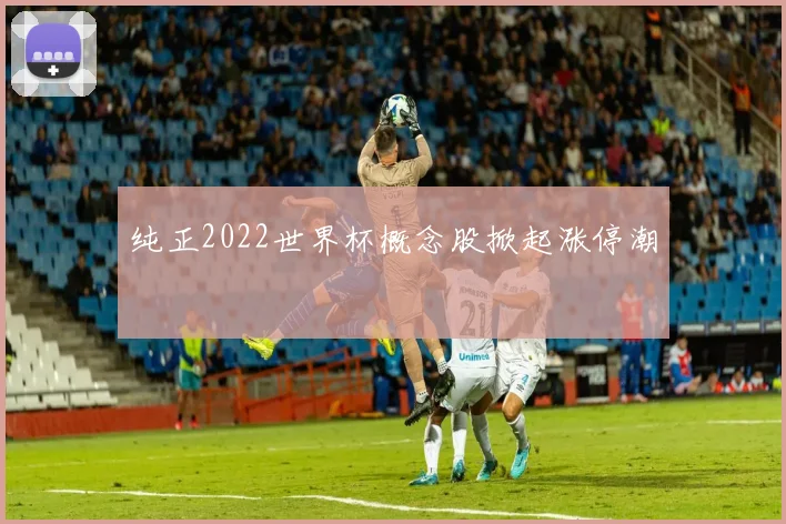 纯正2022世界杯概念股掀起涨停潮