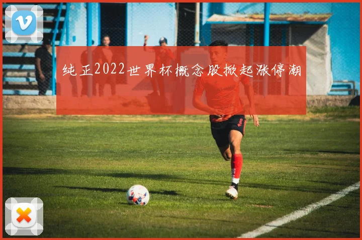 纯正2022世界杯概念股掀起涨停潮