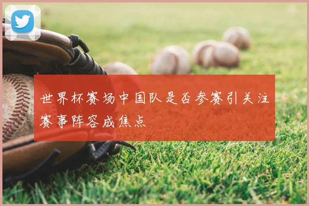 世界杯赛场中国队是否参赛引关注赛事阵容成焦点