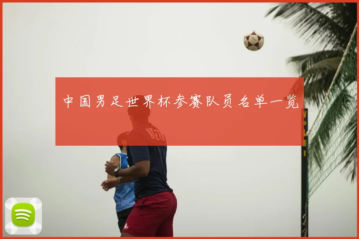中国男足世界杯参赛队员名单一览