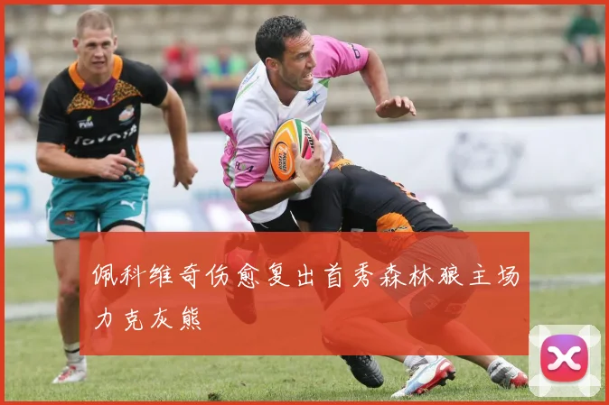 佩科维奇伤愈复出首秀森林狼主场力克灰熊