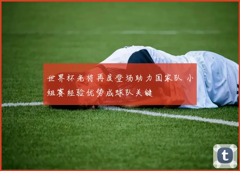 世界杯老将再度登场助力国家队 小组赛经验优势成球队关键