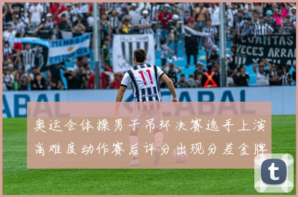 奥运会体操男子吊环决赛选手上演高难度动作赛后评分出现分差金牌悬念