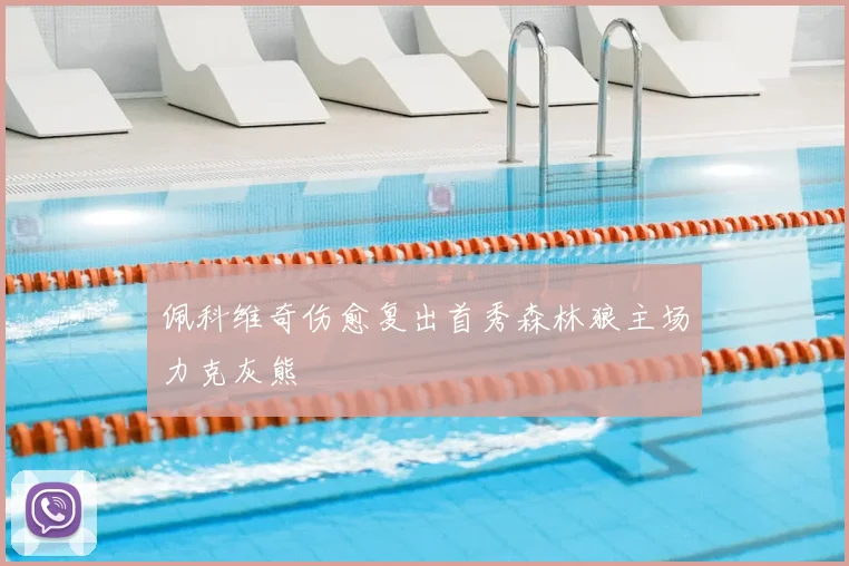 佩科维奇伤愈复出首秀森林狼主场力克灰熊