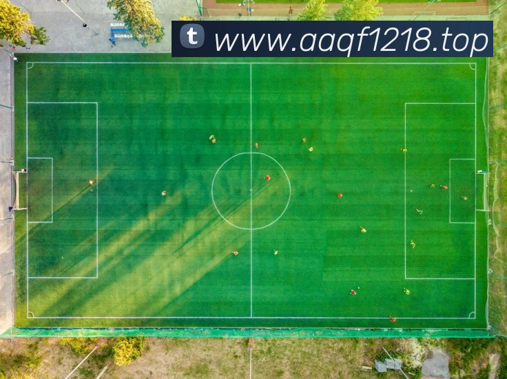 数据防护可视化